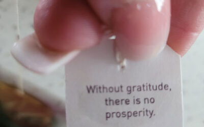Without gratitude, there is no prosperity
